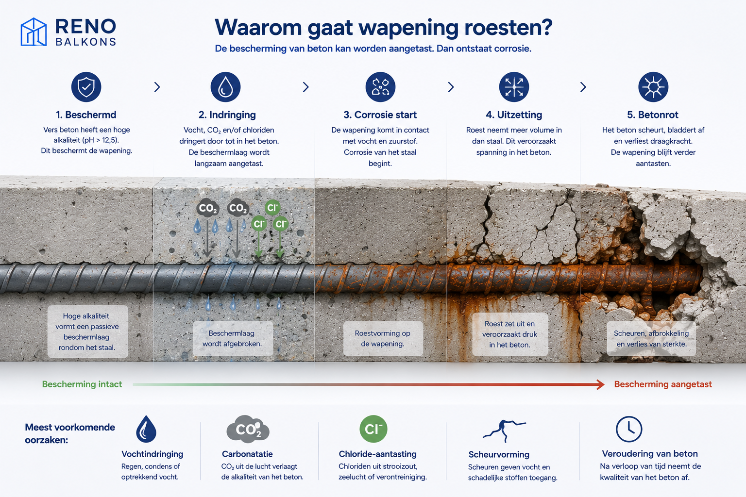 Infographic die laat zien hoe vocht, carbonatatie en chloriden leiden tot corrosie van wapening en uiteindelijk betonrot veroorzaken.